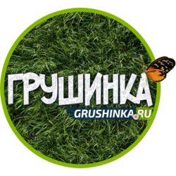 Грушинский фестиваль